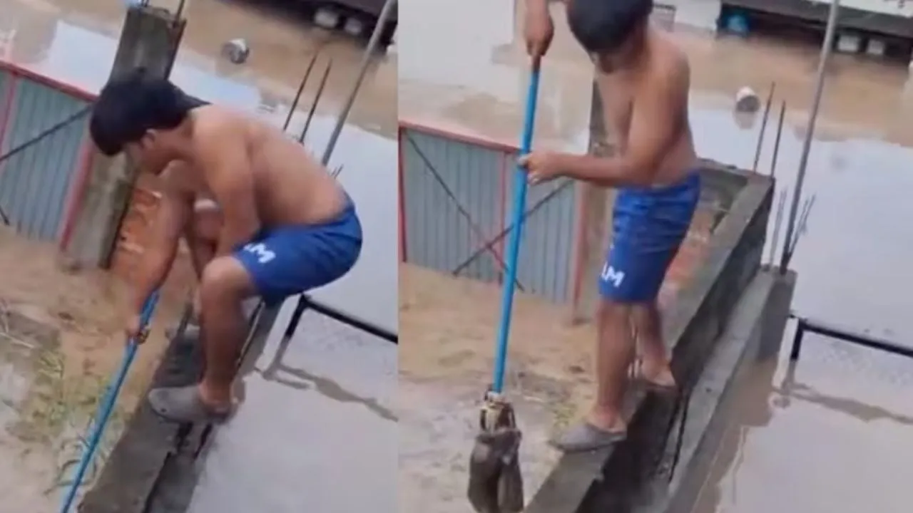 Niño salva a un gato de las inundaciones en Poza Rica, Veracruz (Video)