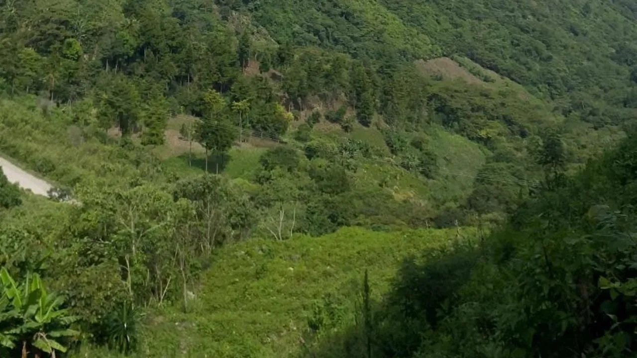 Jueza niega amparo a indígenas que buscan detener la construcción de la vía San Cristóbal-Palenque