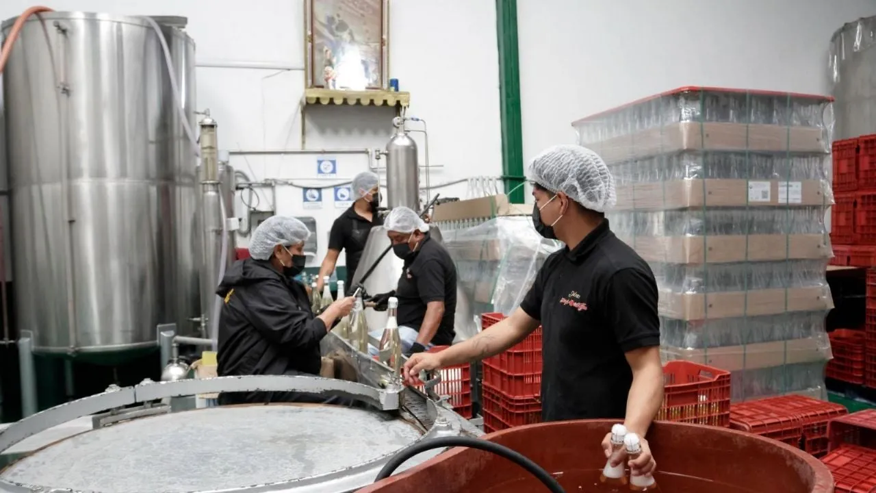 La economía cae 0.8% en el primer trimestre: retroceso en todos los sectores
