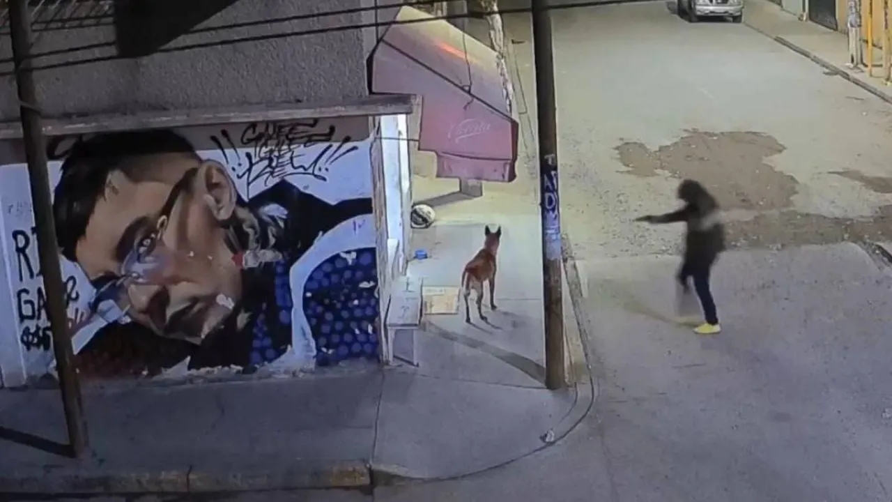 Sujeto mata a balazos a un perro en Ecatepec; el agresor sería un agente de la FGJEM