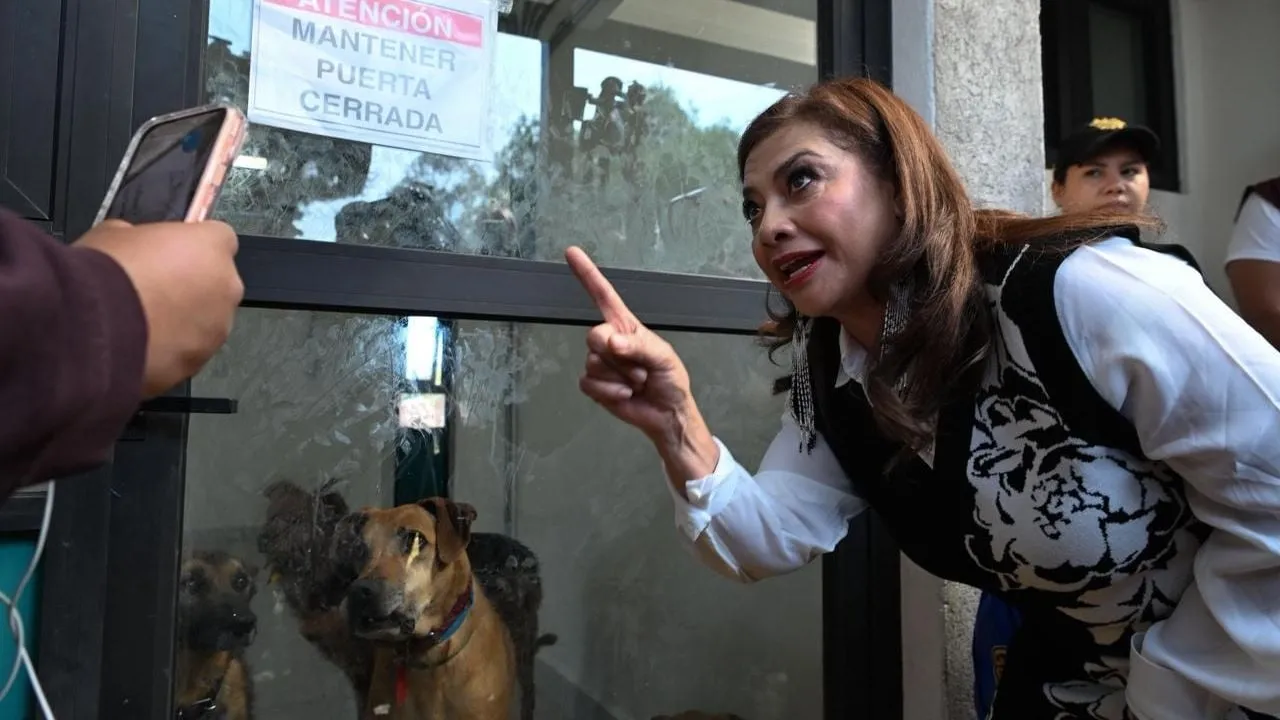 Brugada asegura que perros resguardados en la Utopía GAM se encuentran en condiciones adecuadas