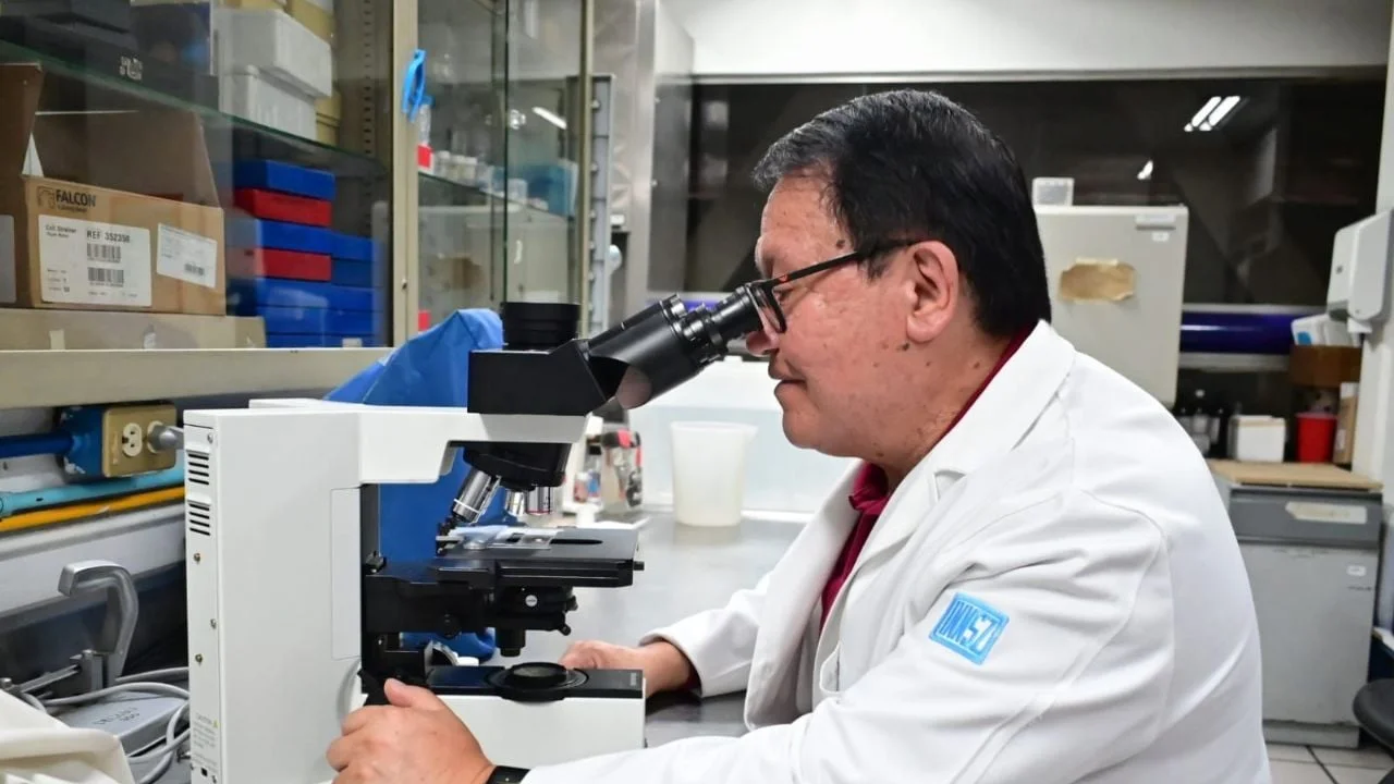Instituto de Nutrición investiga veneno del alacrán para combatir la tuberculosis
