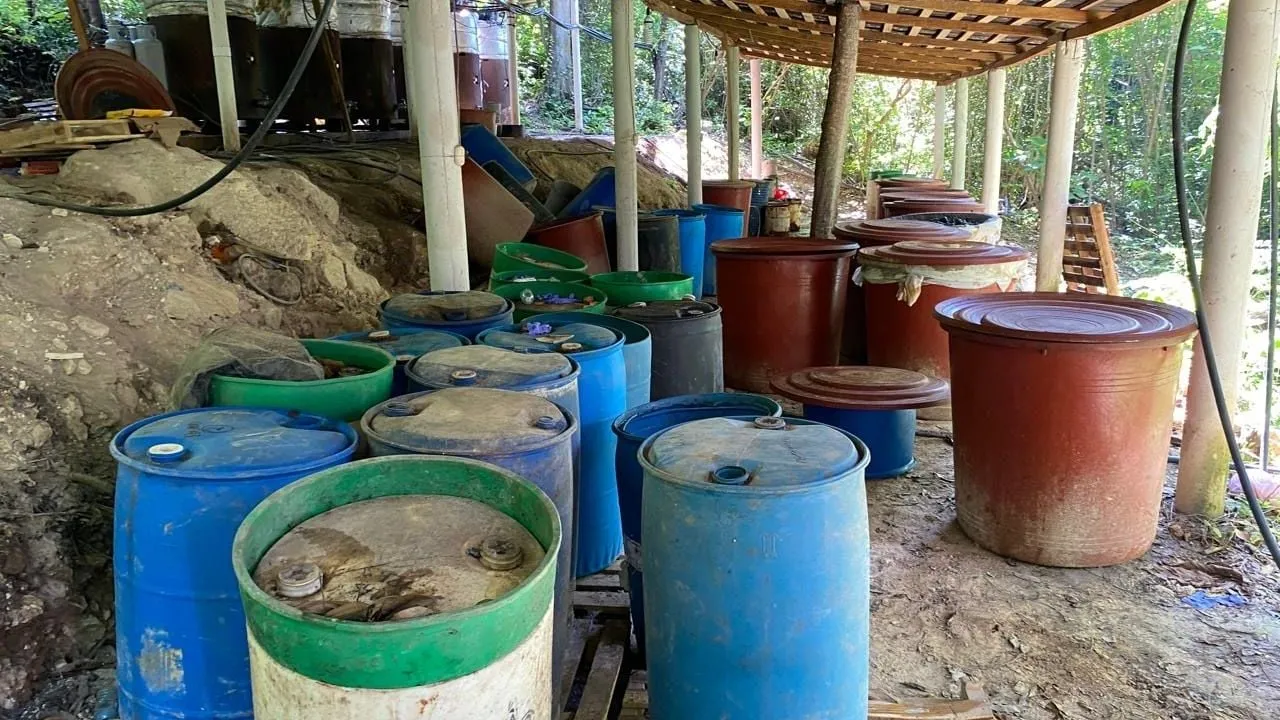 Hallan segundo narcolaboratorio en Palenque, Chiapas en menos de un mes