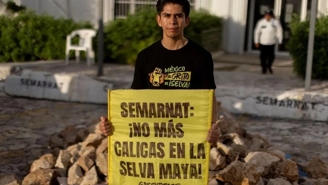 Calica debe reparar daños ambientales en Playa del Carmen: Juzgado federal de Quintana Roo