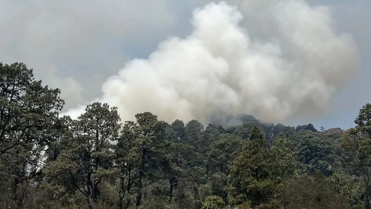 Tepoztlán: restringen acceso a áreas naturales tras incendios