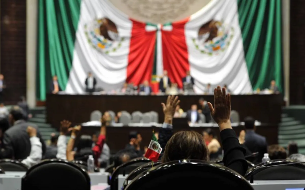 ¿QUÉ HACEN LOS DIPUTADOS?