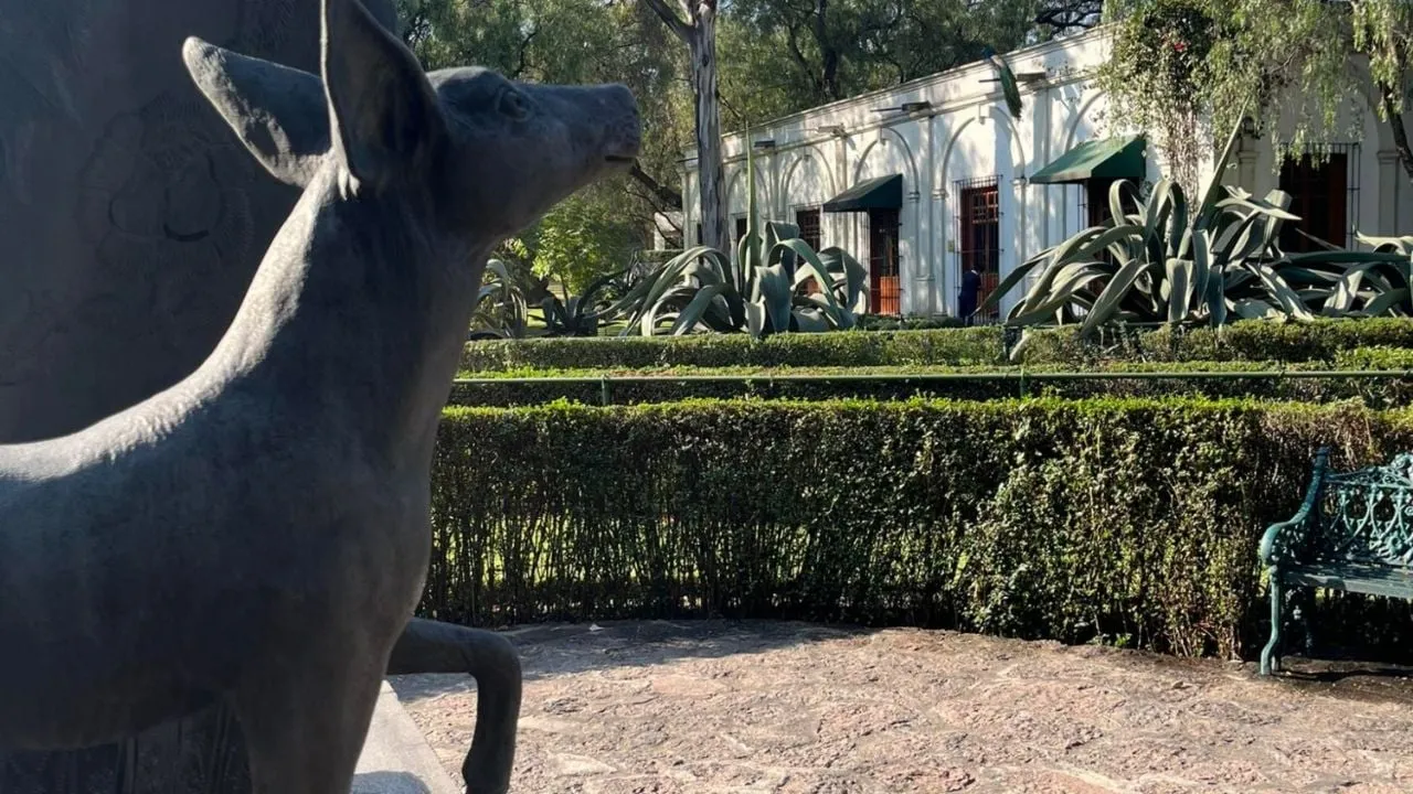 Analizan el fideicomiso del Museo Dolores Olmedo; “cambiar de fiduciaria fue irregularidad”