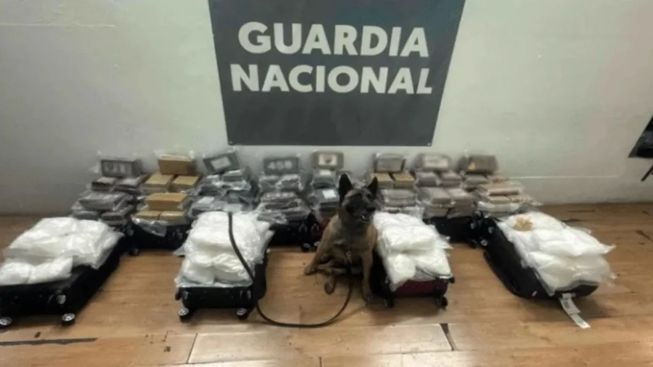 Abandonan maletas con más de 250 kilos de droga en el Aeropuerto Internacional de Tijuana