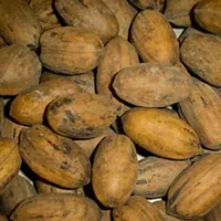 CNA acusa violación directa al T-MEC por aranceles a las fresas mexicanas