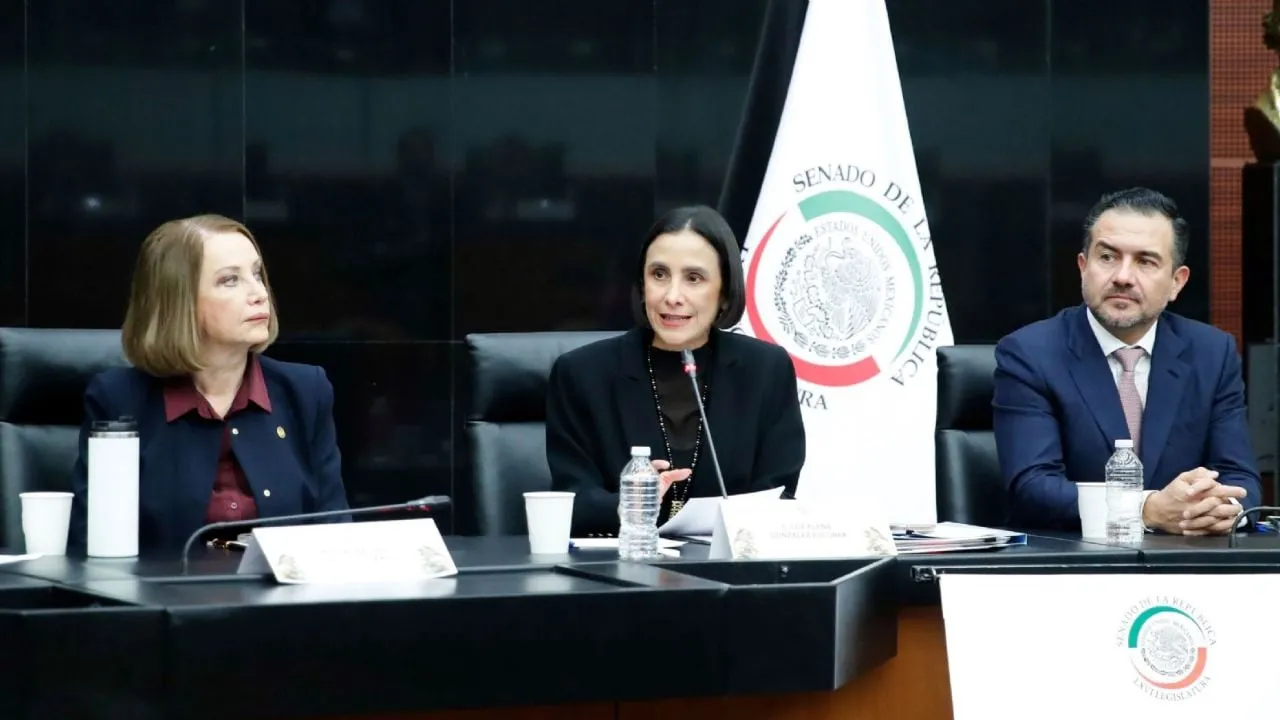 Sener afirma trabajar en el combate contra el huachicol y defiende modelo energético