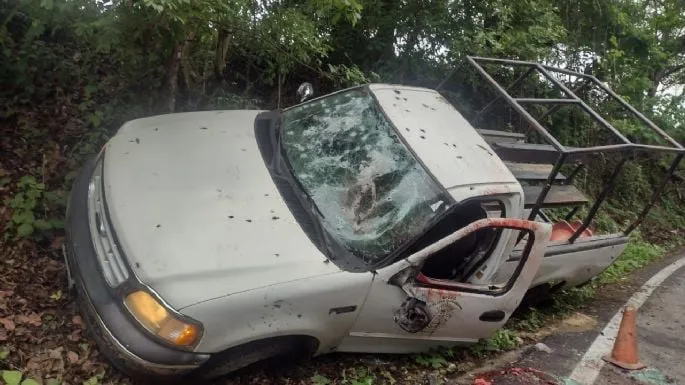 Siete autodefensas fueron emboscados y asesinados en Tierra Colorada