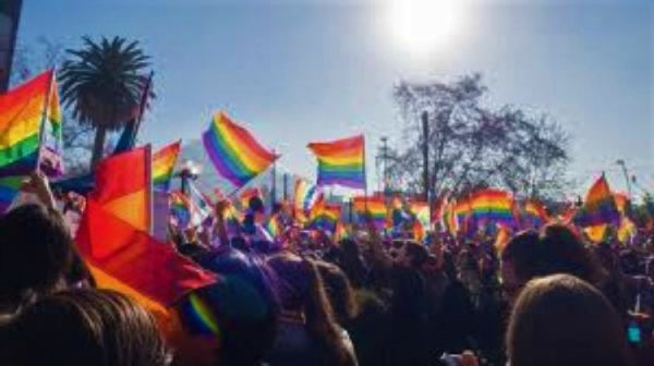 La Federación LGTB celebra unas jornadas internacionales sobre activismo