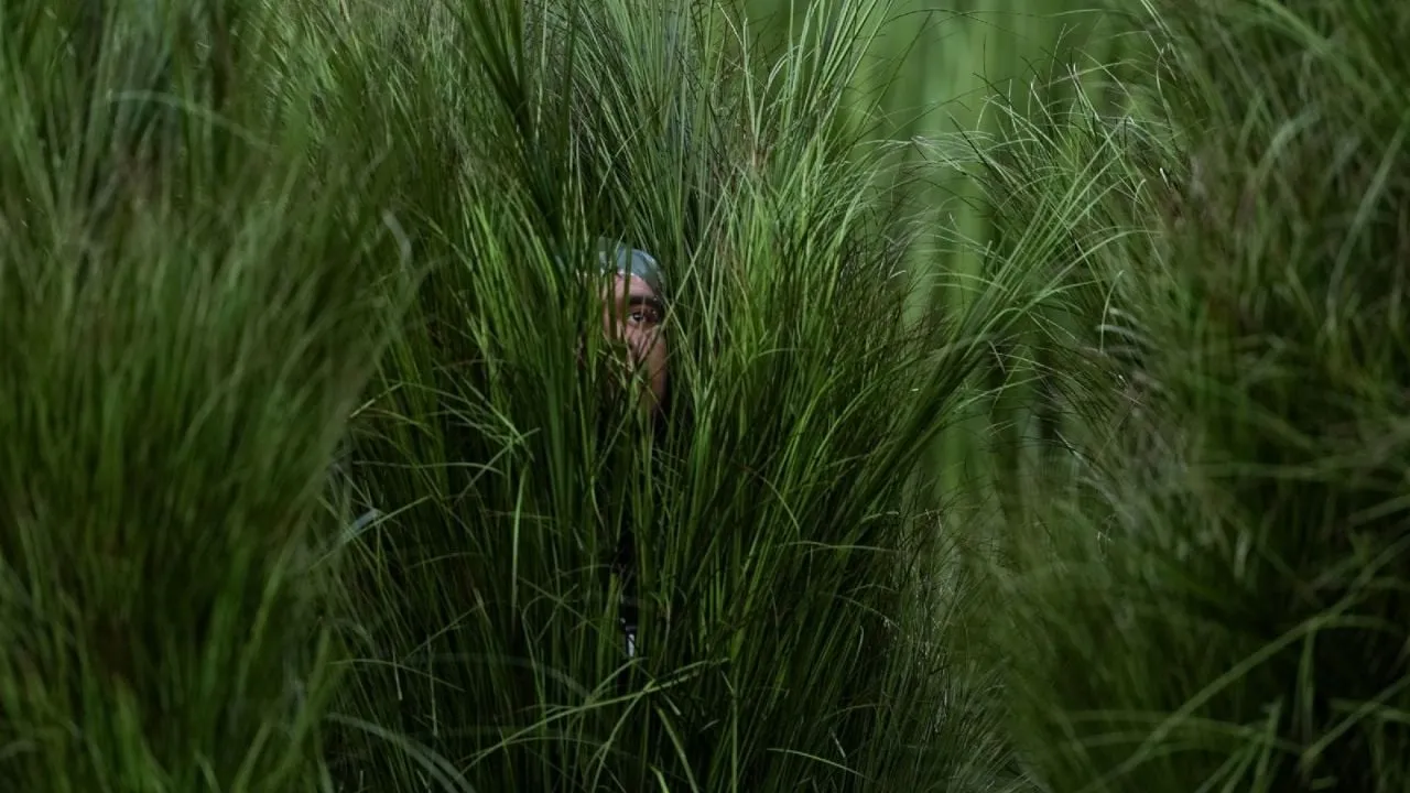 Los “arbustos humanos” de Bad Bunny: así funcionó el truco escénico que se volvió viral (Video)