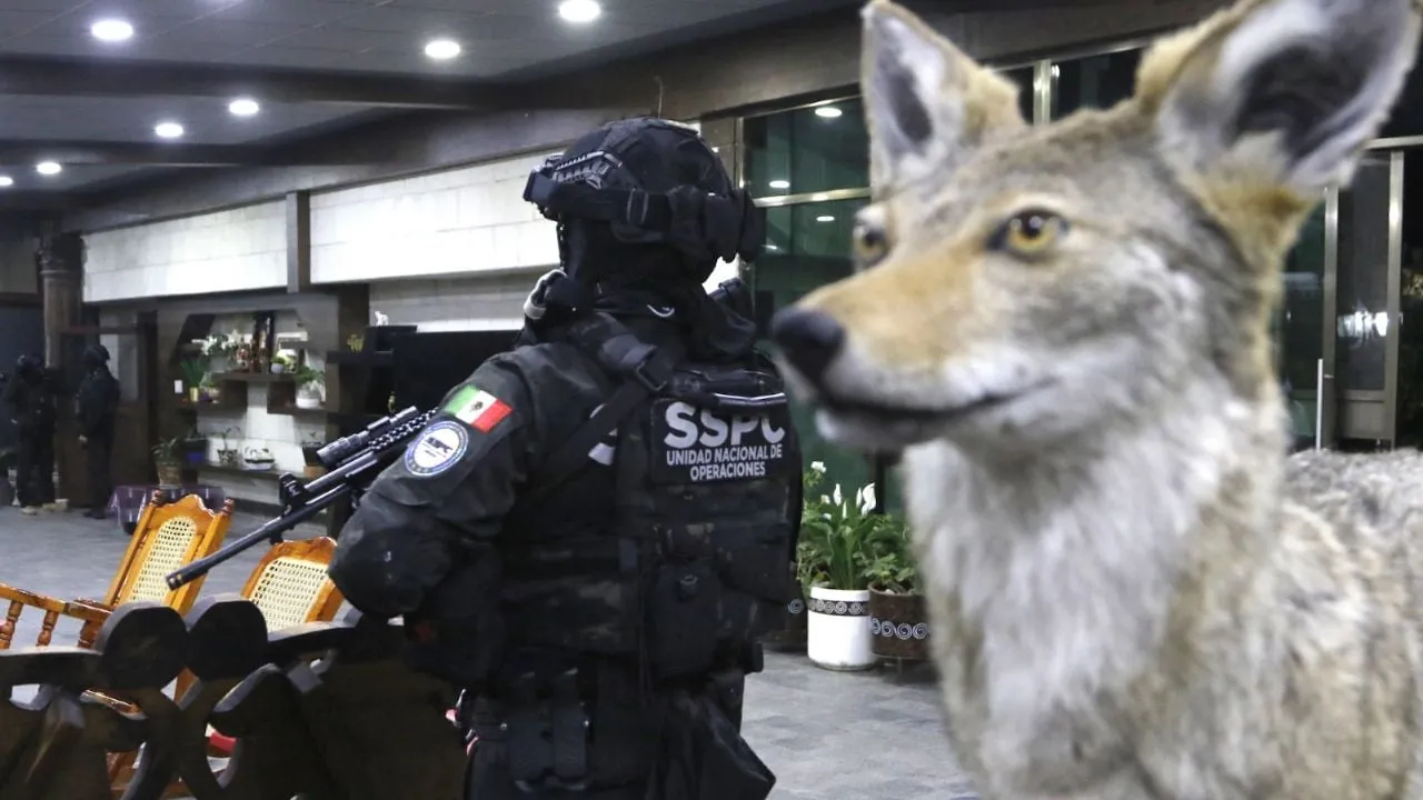 Autos de lujo y animales exóticos: las imágenes del megaoperativo (Fotogalería y video)