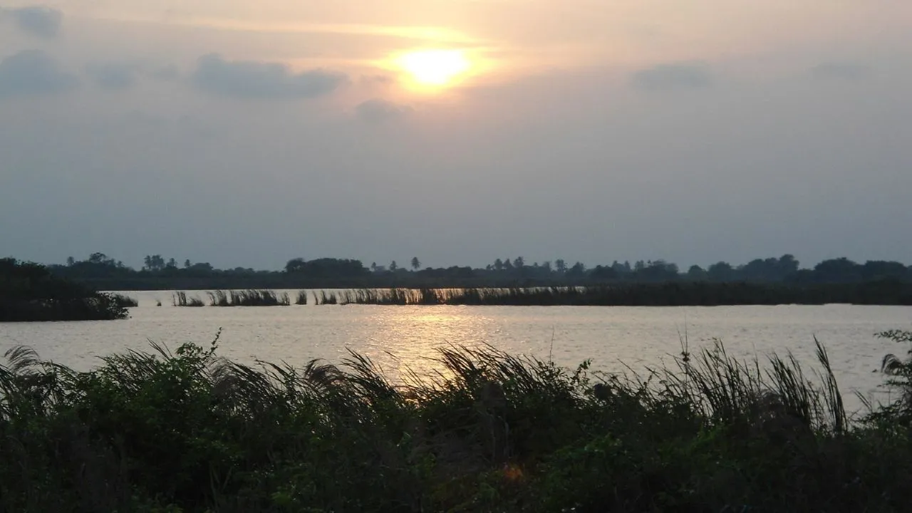 Luisa Reyes Retana sumerge al río Usumacinta en una novela sobre ecocidio y resistencia