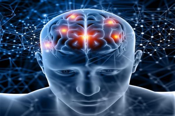 ¿Qué hace el estrés con el cerebro?