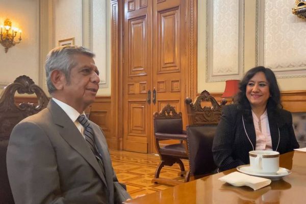 AMLO sustituye a Irma Eréndira Sandoval en Función Pública