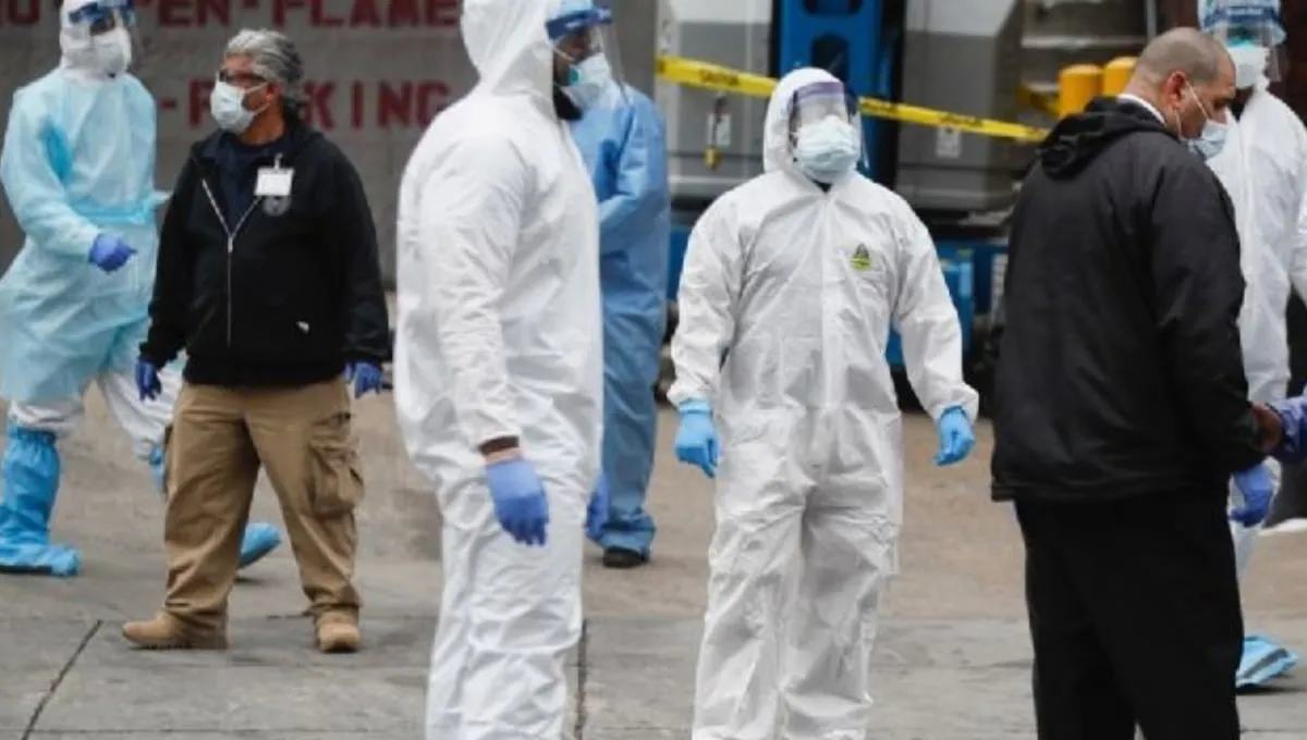 Estas son las medidas para evitar el contagio de la gripe aviar H5N1