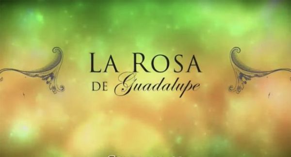 La rosa de Guadalupe el programa más visto en la pandemia. 