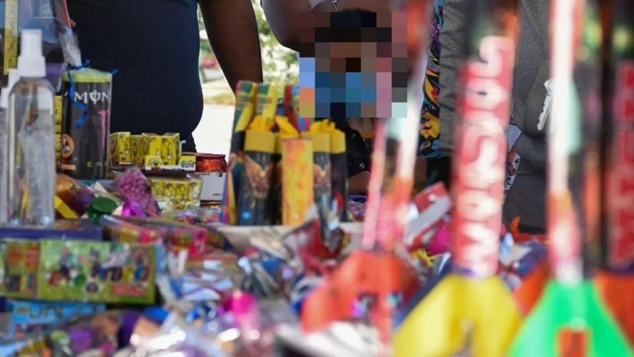 SSC pide evitar uso de pirotecnia durante fiestas de Año Nuevo para cuidado de animales de compañía