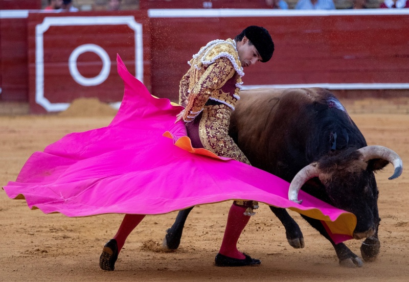 JUEZA FEDERAL SUSPENDE OTRA VEZ LAS CORRIDAS DE TOROS EN CDMX