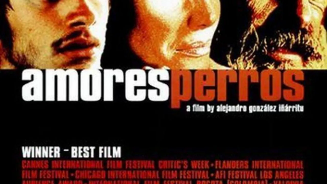 “Amores perros” restaurada regresa a Cannes para festejar los 25 años de su primera exhibición
