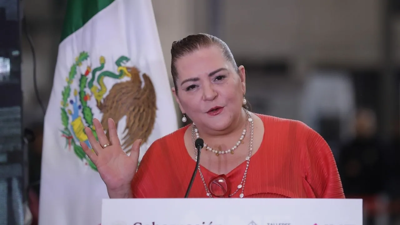 INE espera una “participación altamente copiosa” para la elección judicial: Taddei