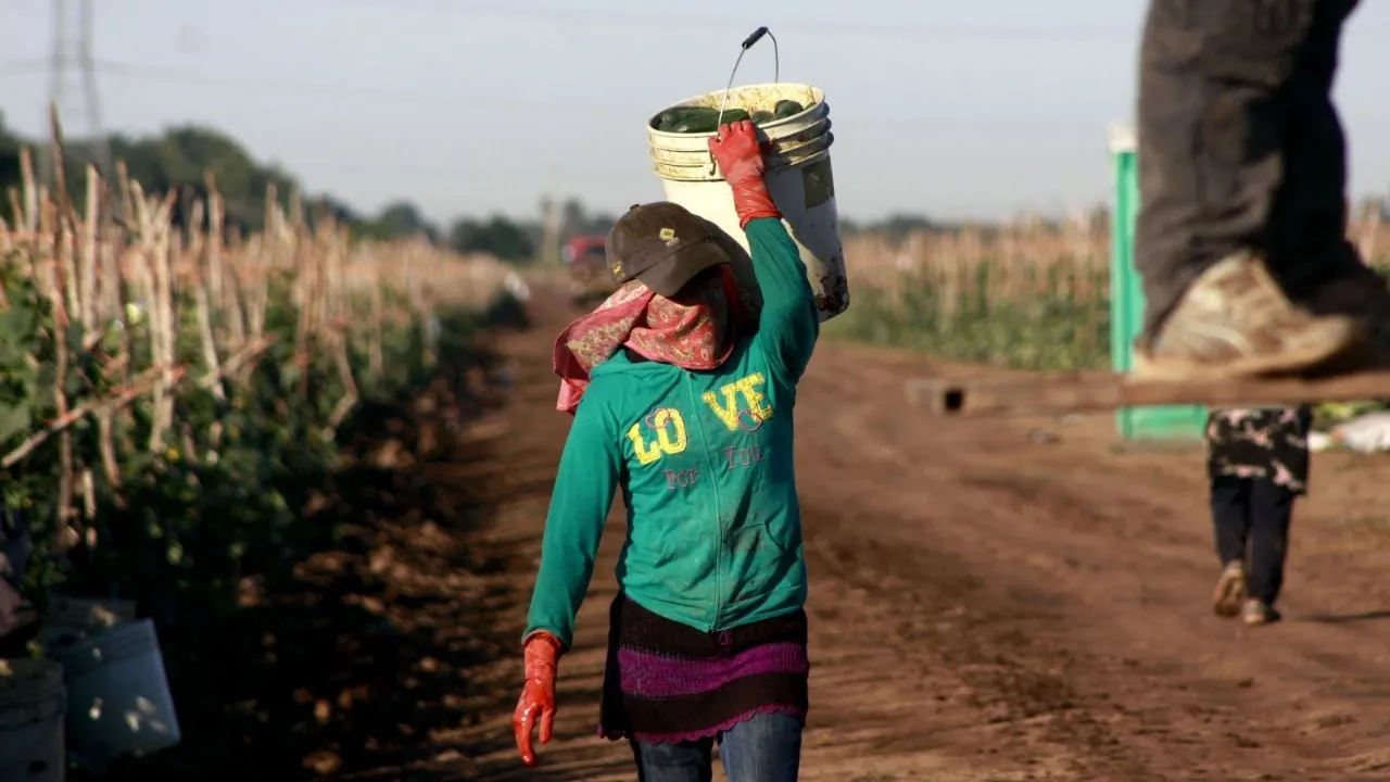 México esquiva la recesión con alfileres en el primer trimestre de 2025: Inegi