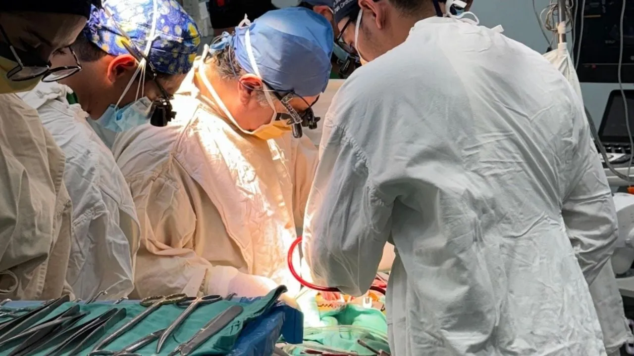 Los retos para la donación de órganos en México: 18 mil 912 personas esperan un trasplante