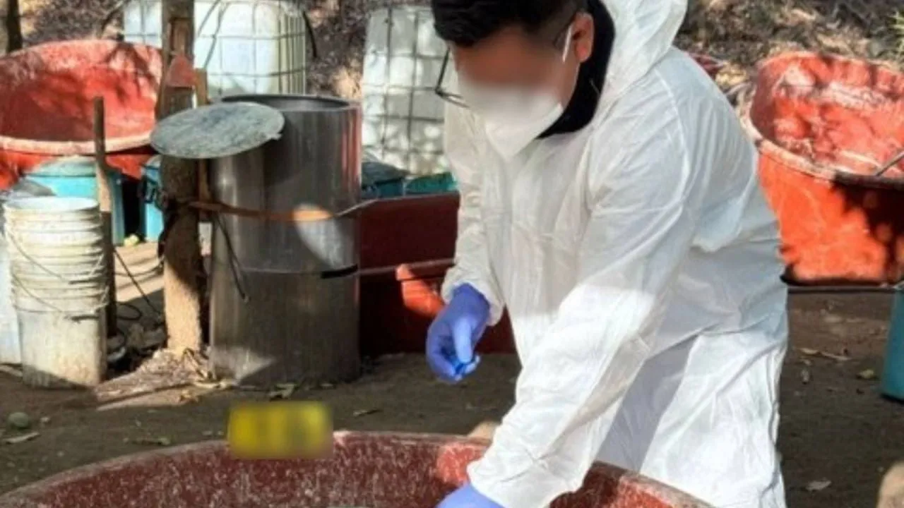Chinos proveen de químicos a Cártel de Sinaloa, afirman autoridades de EU