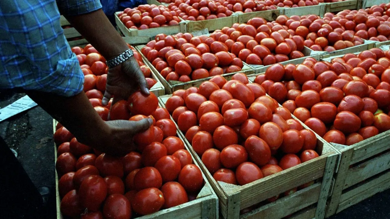 Pollo y jitomate disparan la inflación a su peor nivel en 2025