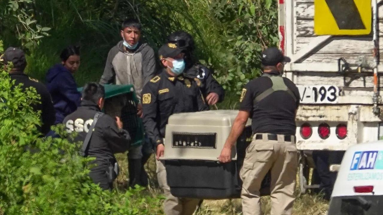 Refugio Franciscano, la disputa que enfrenta Morena en la CDMX