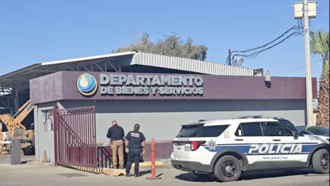 Dejan cabeza de cerdo y mensaje amenazante contra funcionario de BC