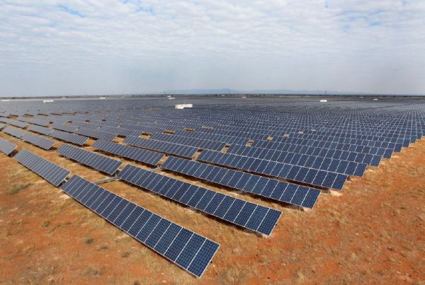 Gobierno federal buscará construir un parque solar en Sonora.