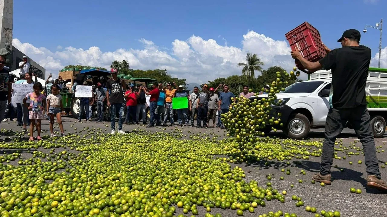 Desde 2021 Sedena sabe quiénes extorsionan a los limoneros y sus ligas con el gobierno de Michoacán