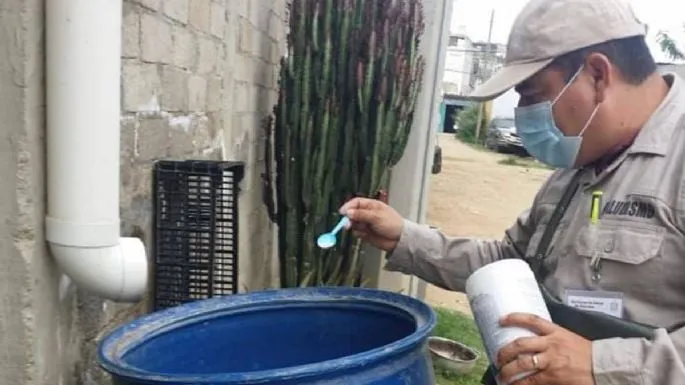 Oaxaca registra 11 muertes por dengue